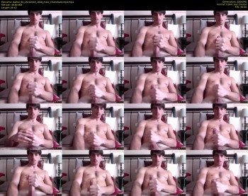 dalfox_94