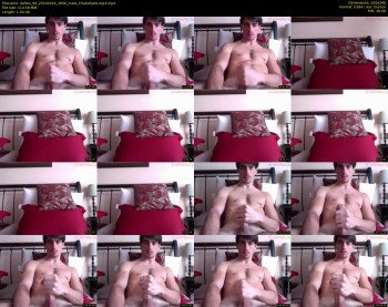 dalfox_94