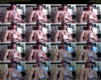 dalfox_94