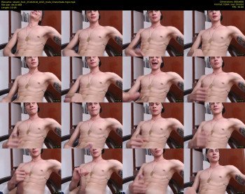 steven_fox1