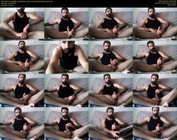 kingcat82