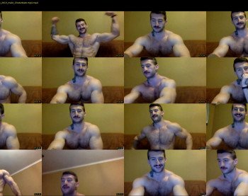 panda_muscle