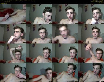 sexual_vibrations