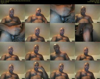 bigbull856