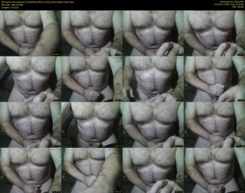 furrybear2