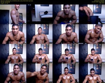 teddyfit19cm