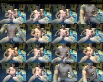 dany2323445