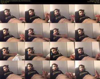 jestersquid