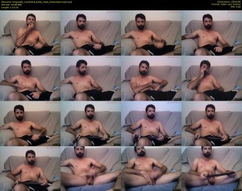 kingcat82