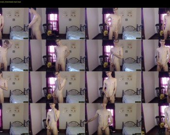 aleccat
