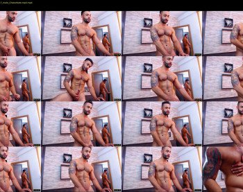 apolo_fox