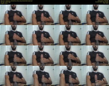 bigbicho7