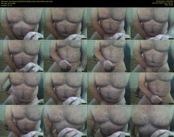 furrybear2