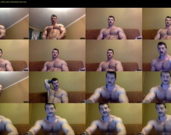 panda_muscle