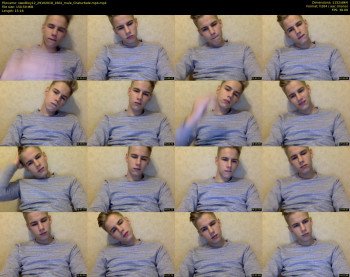 swedboy12