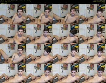 austinshy