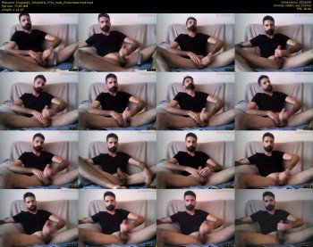 kingcat82