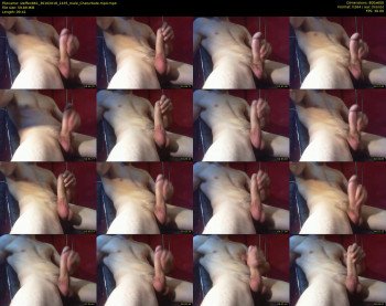 steffen861