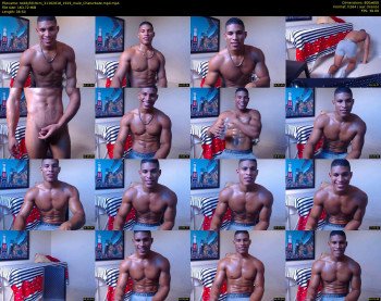 teddyfit19cm