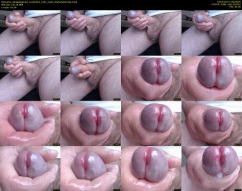 wowsobighard