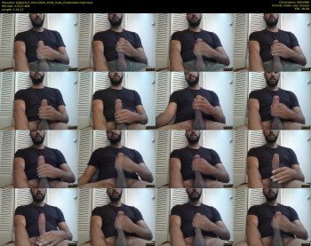 bigbicho7