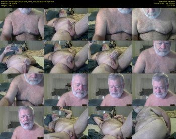 bullmorphis