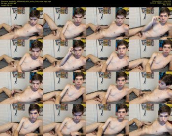 austinshy