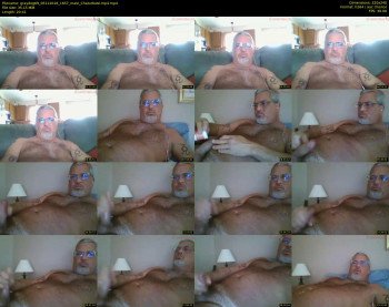 graydog69
