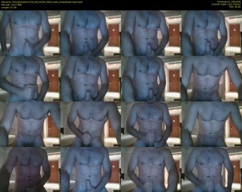 hornytraveller1119