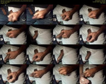 boxerwanker