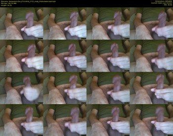 dantasticmrfox