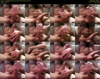 steffan8664