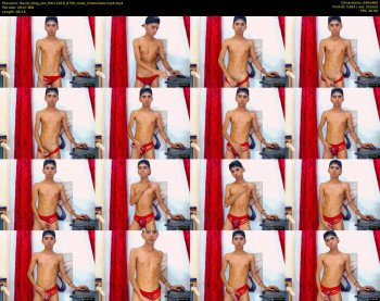 david_sting_xxx