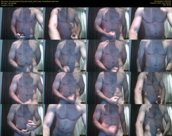 hornytraveller1119