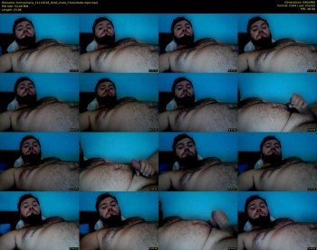 hornysmera