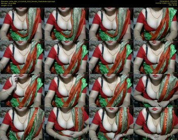 anita_desi