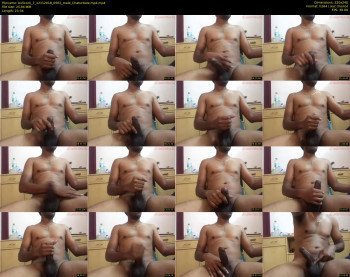 bullcock_7