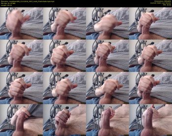 crazybear609