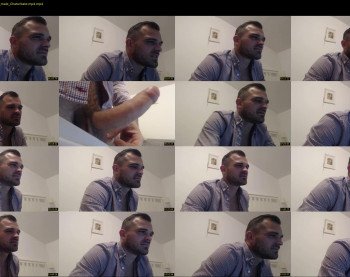 dltibers