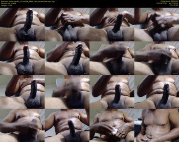 escorpion51