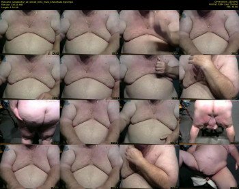 largebody2
