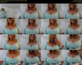 perfectladyorg
