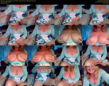 perfectladyorg