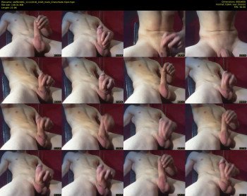 steffen861