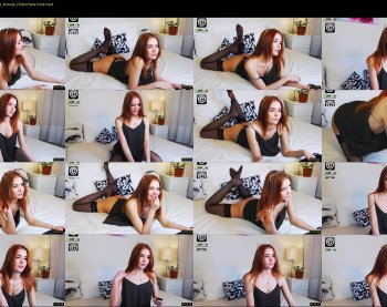 zlata_fox