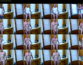 tinmann1