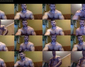 panda_muscle