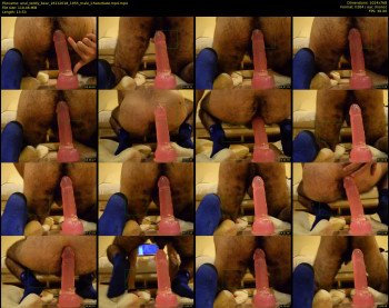 anal_teddy_bear
