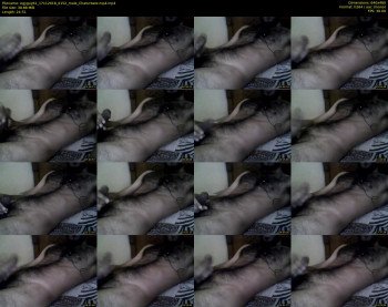 egyguy61