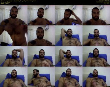 hot_hetero_bear